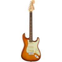 American Performer Stratocaster RW HBST