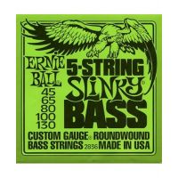 EB-2836 Regular Slinky 5-String